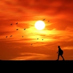 Thumbnail of post image 017